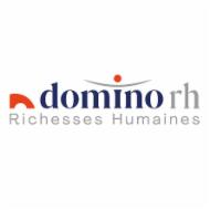 Logo de l'entreprise DOMINO RH