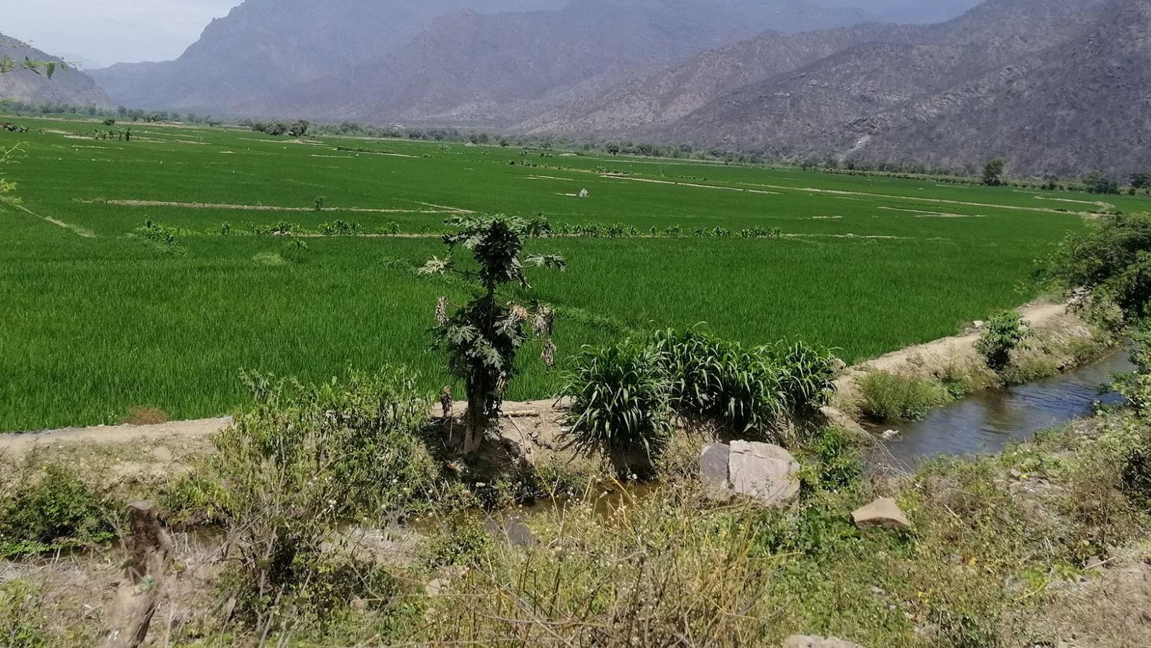 Image d'illustration du métier Eau