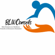 Logo de l'entreprise BLWCONSEILS