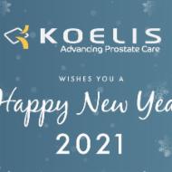 Logo de l'entreprise KOELIS SAS