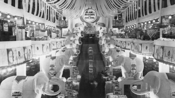 Image d'illustration de l'actualité Le Blanc au Printemps : un art de vivre réinventé à chaque époque