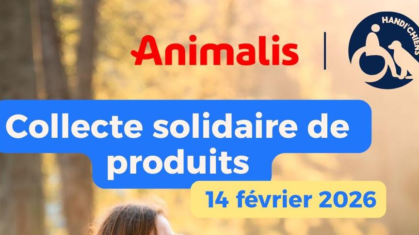 Image d'illustration de l'actualité  Animalis s’engage aux côtés de HANDI’CHIENS