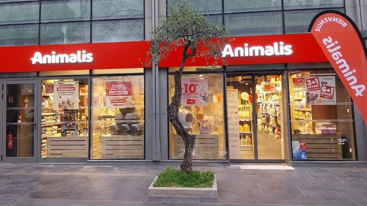 Image d'illustration de l'actualité Mars 2026 : une belle dynamique qui continue de grandir